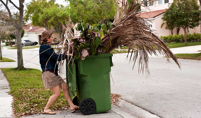 cleaning up after tropic storm