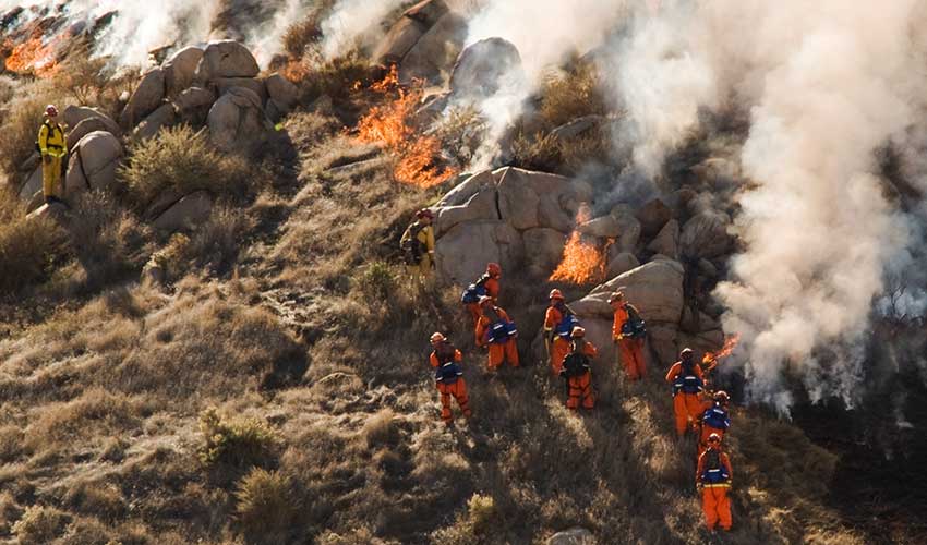 firefighters fight brushfire