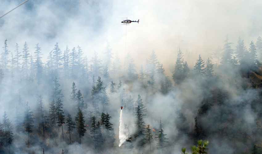 firefighting a forest fire with white smoke